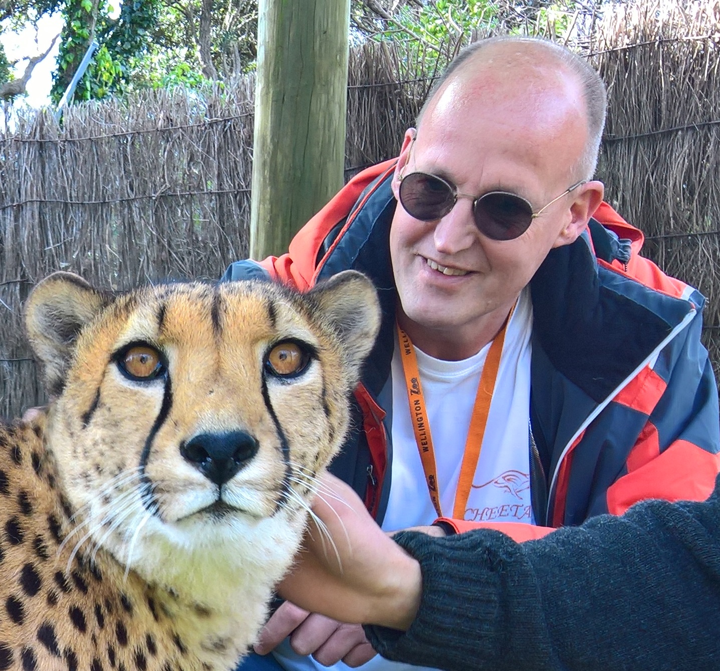 Menno beside a cheetah at Wellington Zoo
